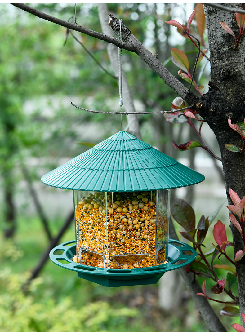 跨境鸟喂食器 户外悬挂式防风防漏喂鸟器 布施喂鸟器 宠物喂食器