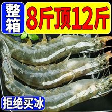 大虾大号整箱青岛新鲜海虾冷冻鲜活水产对虾大白虾批发厂家代发