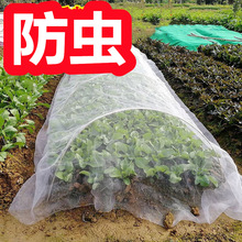 防虫网种菜种菜农用农用蔬菜大棚地种菜专用网纱网跨境一件代发