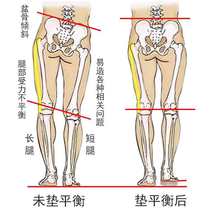 长短腿增高矫正鞋垫高低脚补高调节防盆骨倾斜脊柱校正下肢不等长