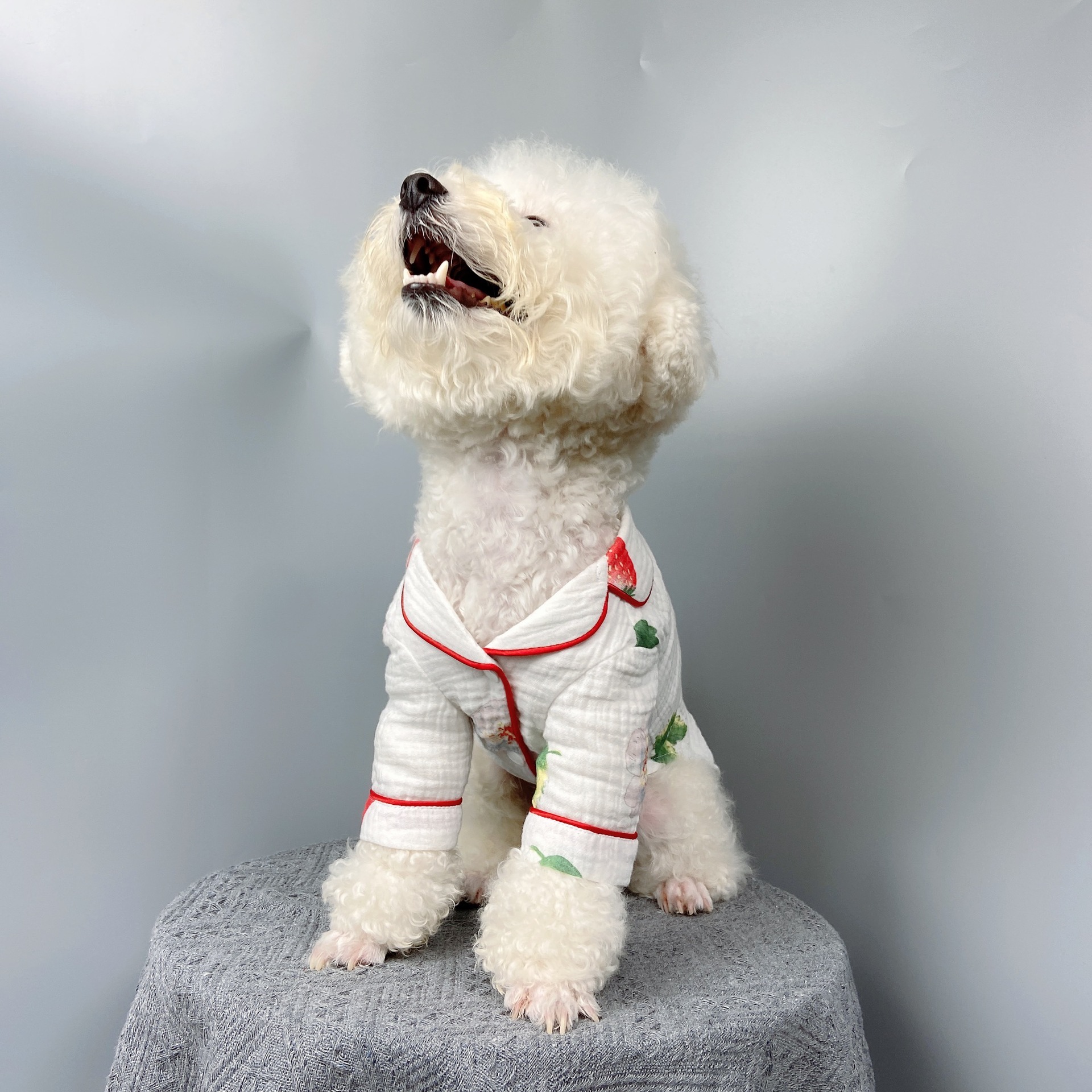 泰迪狗狗服饰纸样比熊宠物狗衣服图纸斗牛拉布拉多睡衣家居服样版