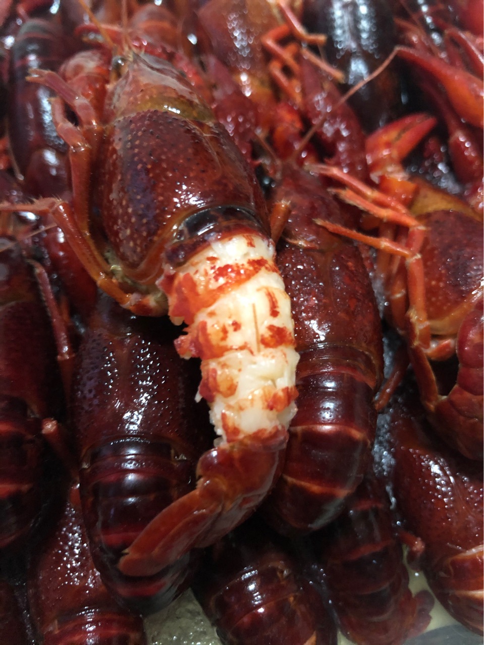 湖北小龙虾 液氮速冻批发整支原味鲜活冷冻深水虾 速冻清水小龙虾