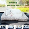 Simulation cat Activated carbon Doll Kitty doll Model automobile Charcoal bag A new house lovely Decoration