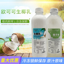 欧可可冷冻生椰乳瓶装生打椰子水生榨椰汁生椰拿铁咖啡奶茶店专用