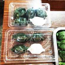一次性寿司盒子透明外卖餐盒食品盒打包盒肉卷饺子包子馒头水果盒