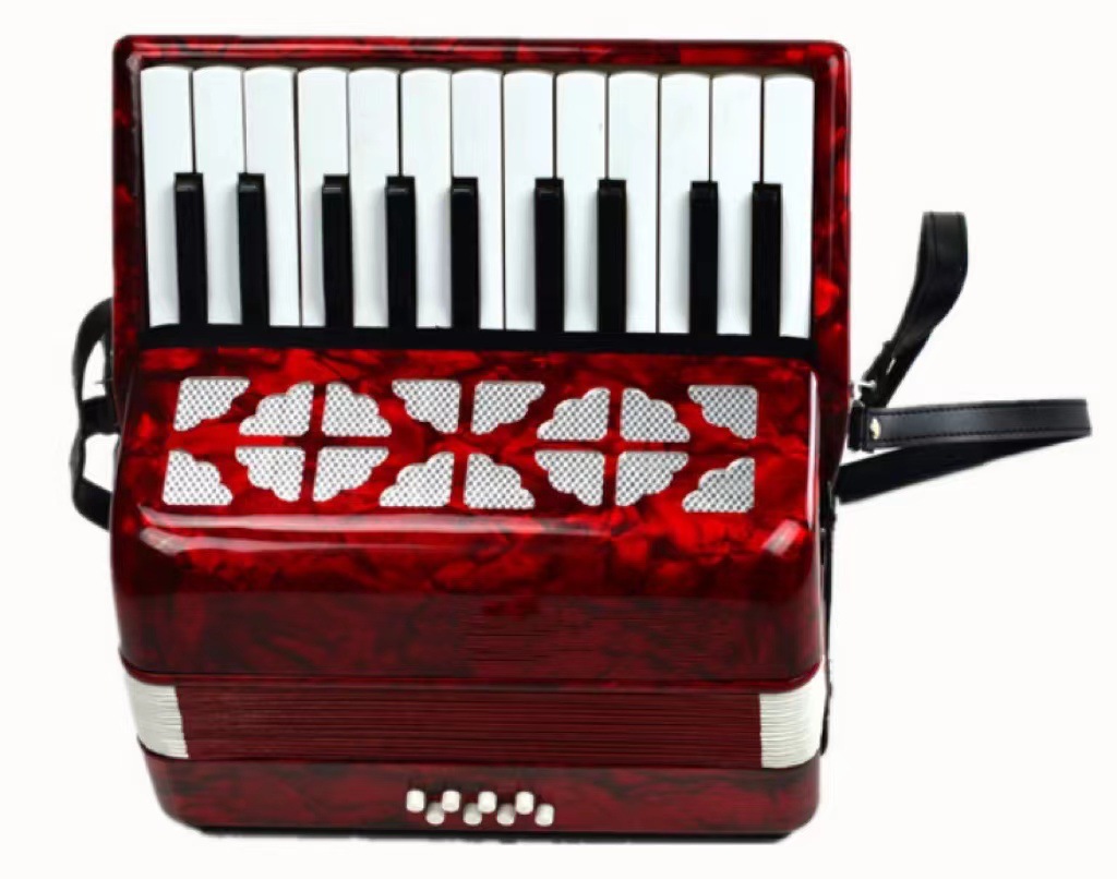 SOURCE Factory 22 Key 8 Bass Accordion Entry-Level Keyboard 8 Bass Accordion for Student Practice