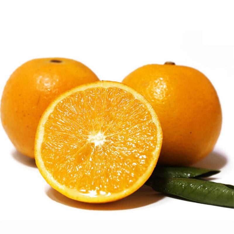 湖南麻阳冰糖橙当季水果橙子整件包邮水果橙子冰糖橙一件代发