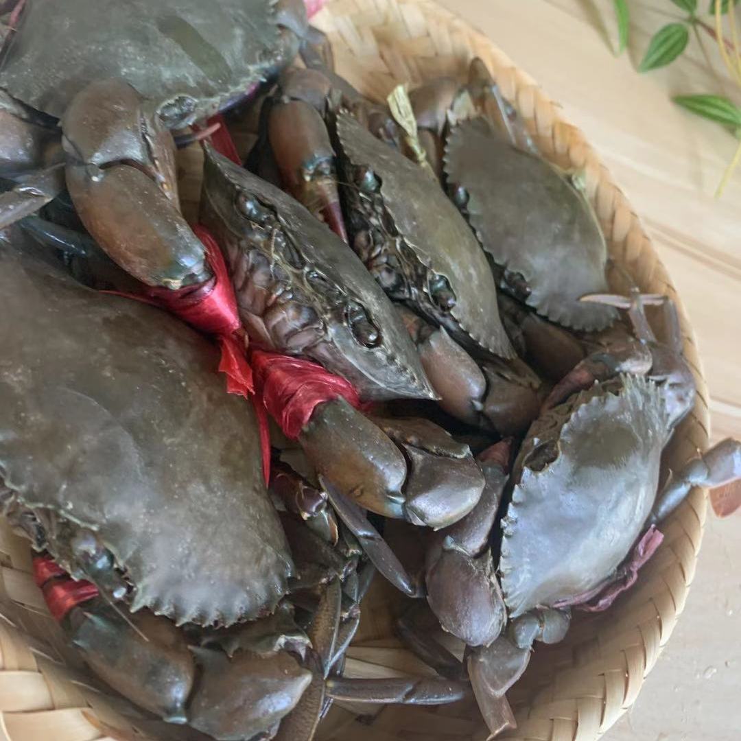 2斤包邮青蟹香辣蟹肉蟹煲蟹粥鲜活发货螃蟹缅甸蟹小肉蟹3-6只/斤