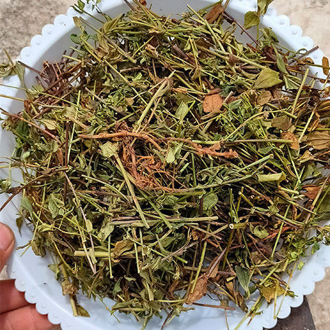 新货 药龙胆草 苦胆草 龙胆红花云南深山农家采挖干货200g