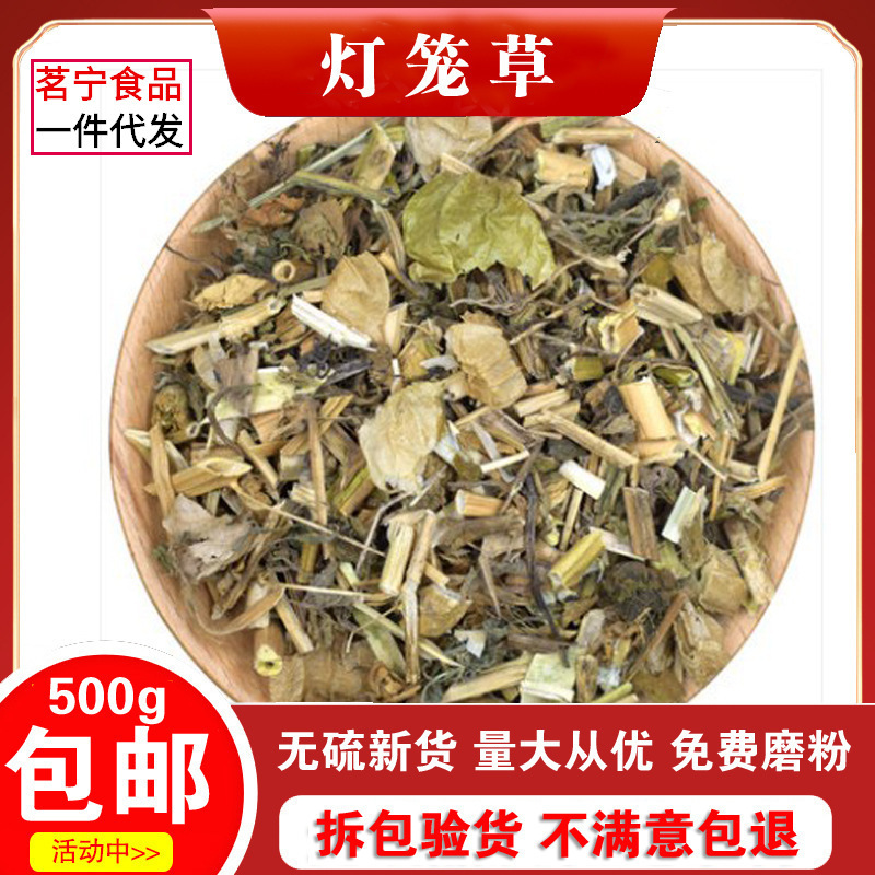 农家灯笼草中草药500g包邮酸浆草鬼灯笼苦灯笼手工精选当季新货