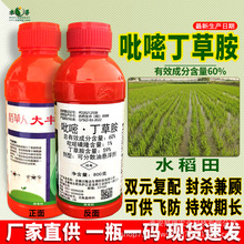 稻草人大丰收60%吡嘧磺隆丁草胺水稻封闭除草剂一年杂草专用农药