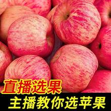 【现场选果】烟台红富士苹果脆甜多汁不打蜡带皮吃新鲜水果10斤