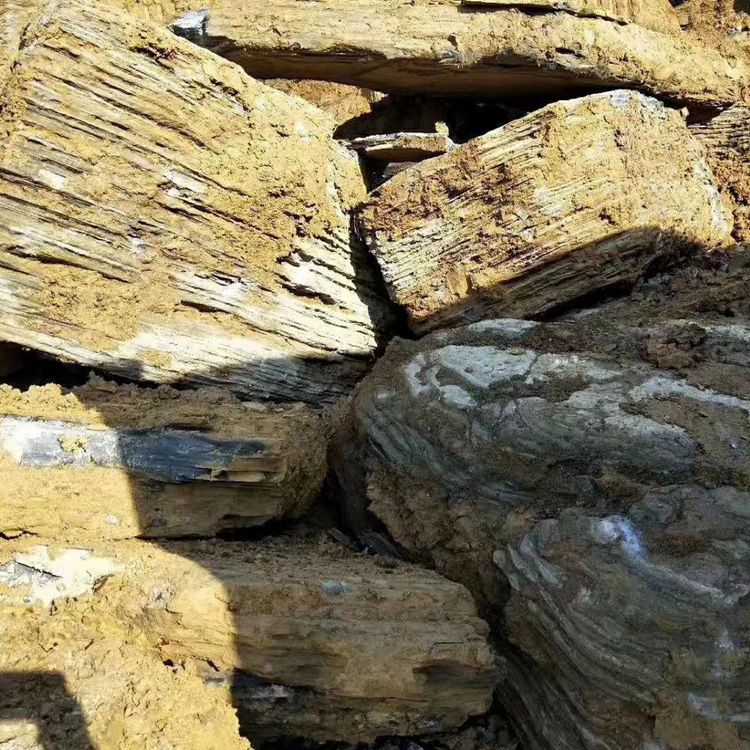 龟纹石假山|护坡龟纹石|杂纹石驳岸供应批发|万吨龟裂石产地批发