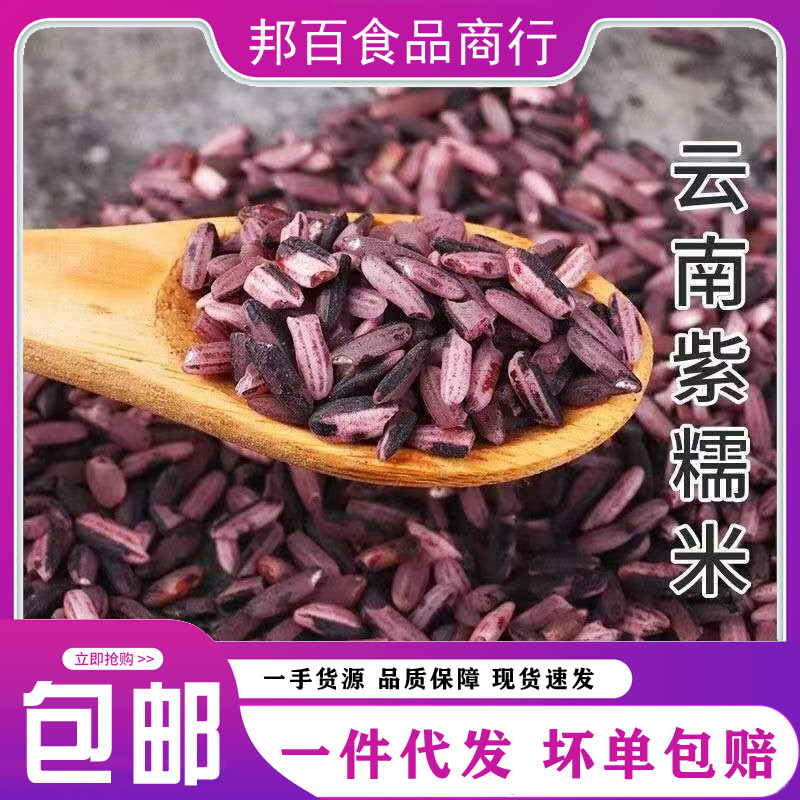 云南墨江紫米紫糯米批发22年新米散装特价土特产五谷杂粮大米