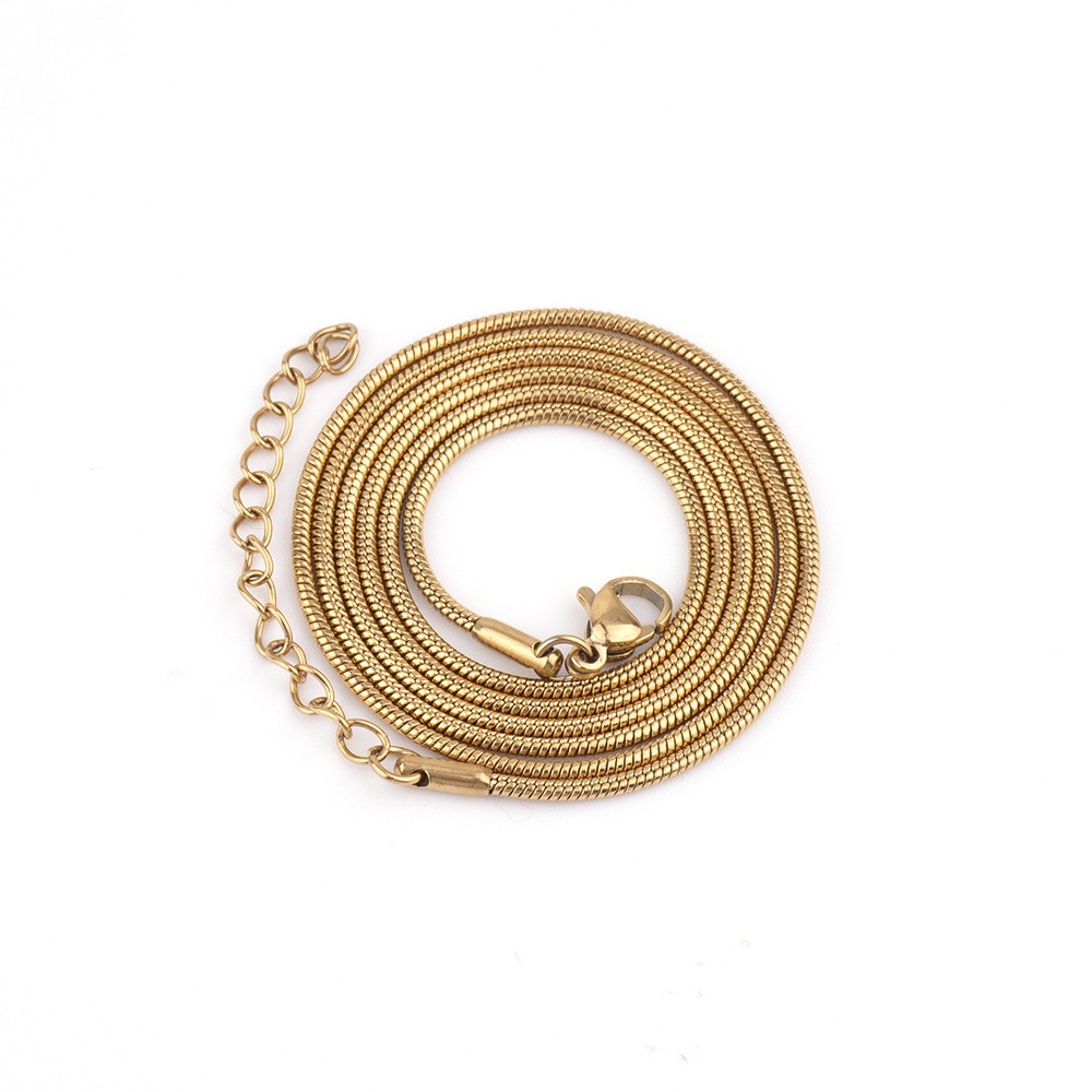 European and American Popular Stainless Steel round Snake Chain Snake Bone Chain Spring Titanium Steel Necklace Simple Personalized Clavicle Chain New Wholesale
