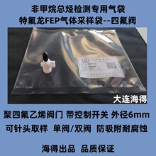 Teflon FEP特氟龙防吸附气体采样袋非甲烷总烃气袋聚四氟乙烯阀