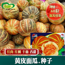 黄皮面瓜甜瓜种子 农田菜园红皮红肉红瓤干面清香甜瓜籽