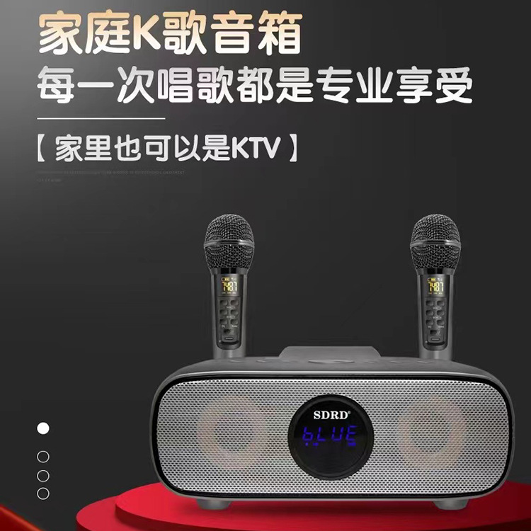 New Hot Sale SD-316 Wireless Microphone Family KTV Bluetooth Speaker Integrated Double Chorus Microphone Karaoke