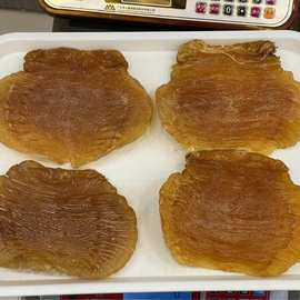 红鸡赤嘴鳘鱼胶