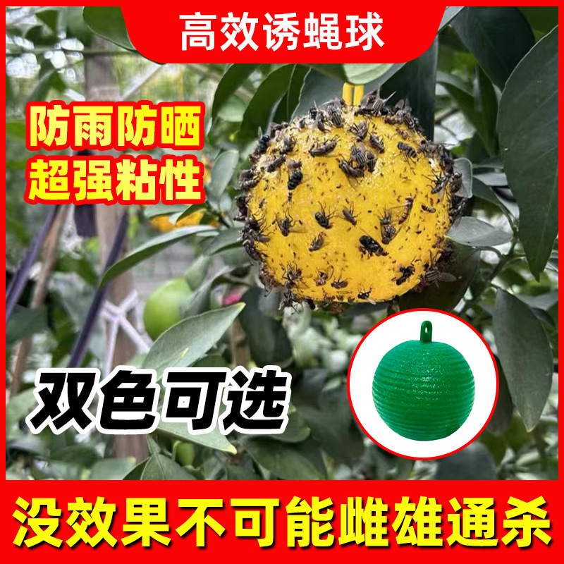果实蝇球球藻粘虫圆形屋外粘胶诱虫粘虫球杨梅农场水果店挂绳叶蜂