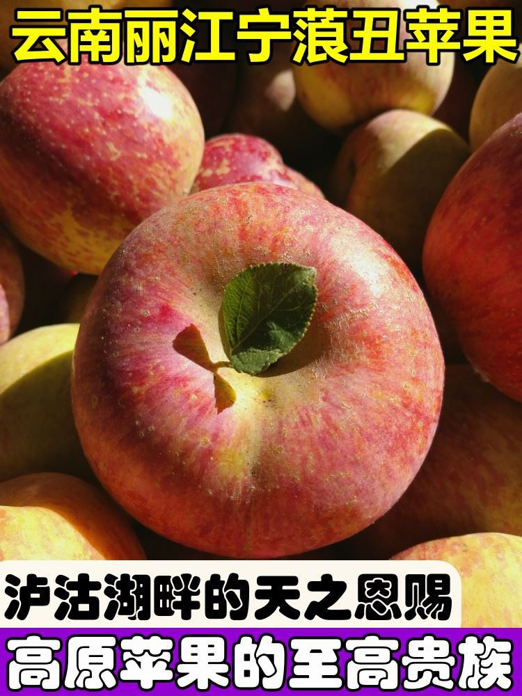 云南丽江宁蒗泸沽湖冰糖心丑苹果新鲜脆水果10斤野生红富士小凉山