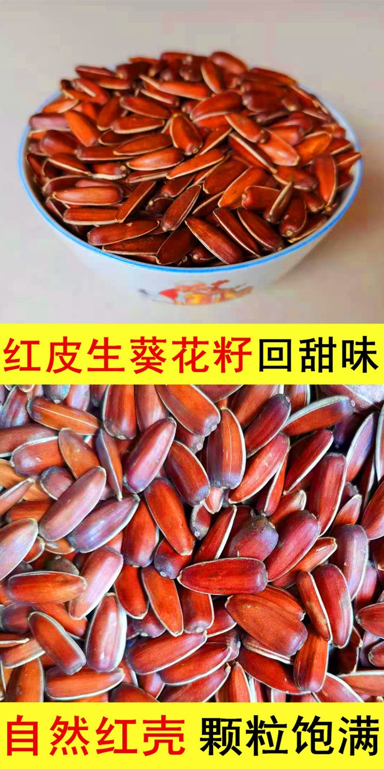 云南特产红皮生瓜子大颗粒山地葵花籽农家自种原味甜糯水果红瓜子