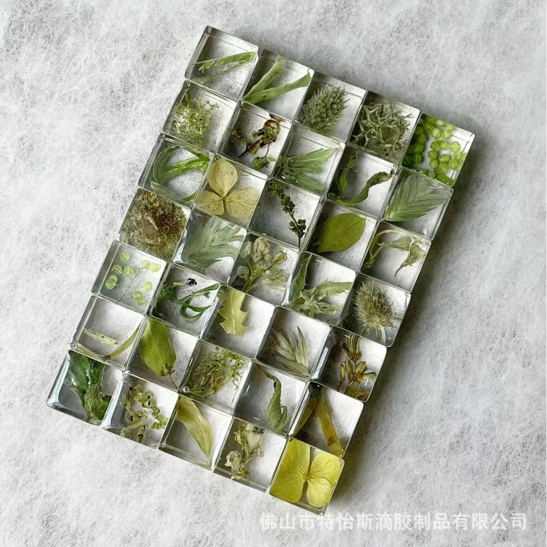 小方块小红书爆款真花树叶树脂植物标本滴胶家居礼品带磁铁冰箱贴