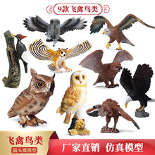仿真野生动物鸟类模型儿童实心静态玩具老鹰猫头鹰海雕装饰摆件
