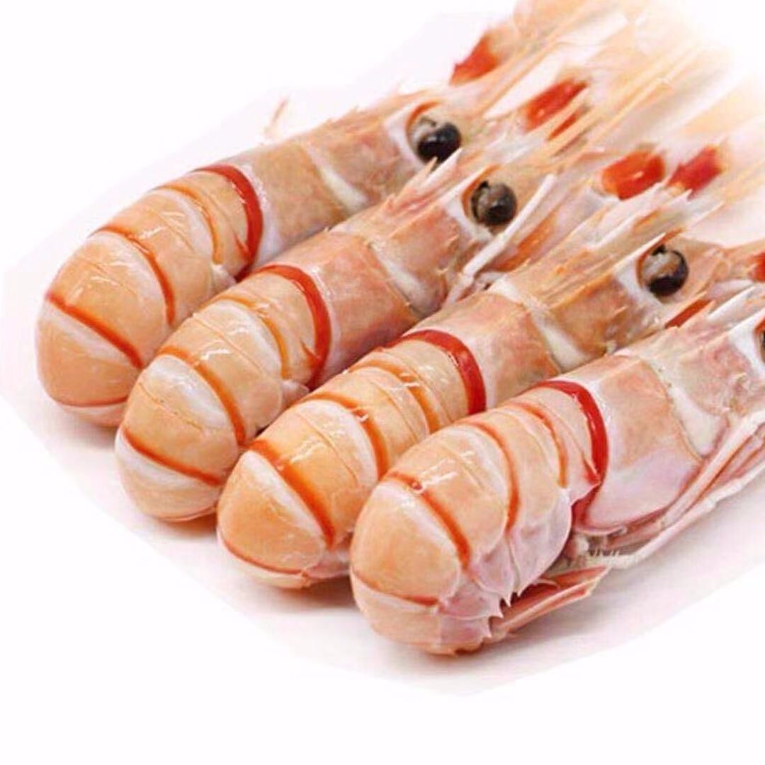 新鲜 海鳌虾刺身 舟山深海小龙虾 海捕鳌虾 海鲜非新西兰鳌虾