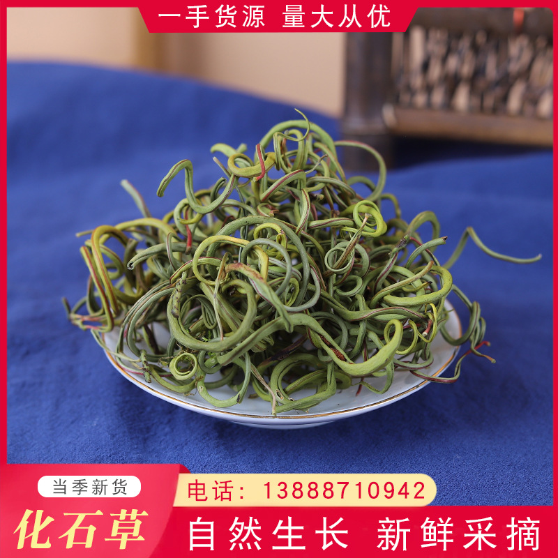 云南当季新货肾精茶化石草茶苇肾经草泡水喝肾茶化石草茶材料批发