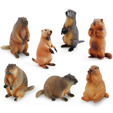 厂家直销 仿真森林动物土拨鼠模型老鼠松鼠实心静态桌面摆件玩具
