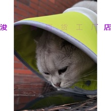 喵主子伊丽莎白圈猫咪狗狗脖圈宠物绝育项圈防咬防舔圈小型犬头套