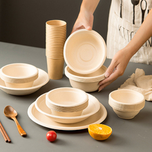 一次性碗筷套装家用纸盘纸碗餐具可降解盘子筷子食品级餐盘环林祥