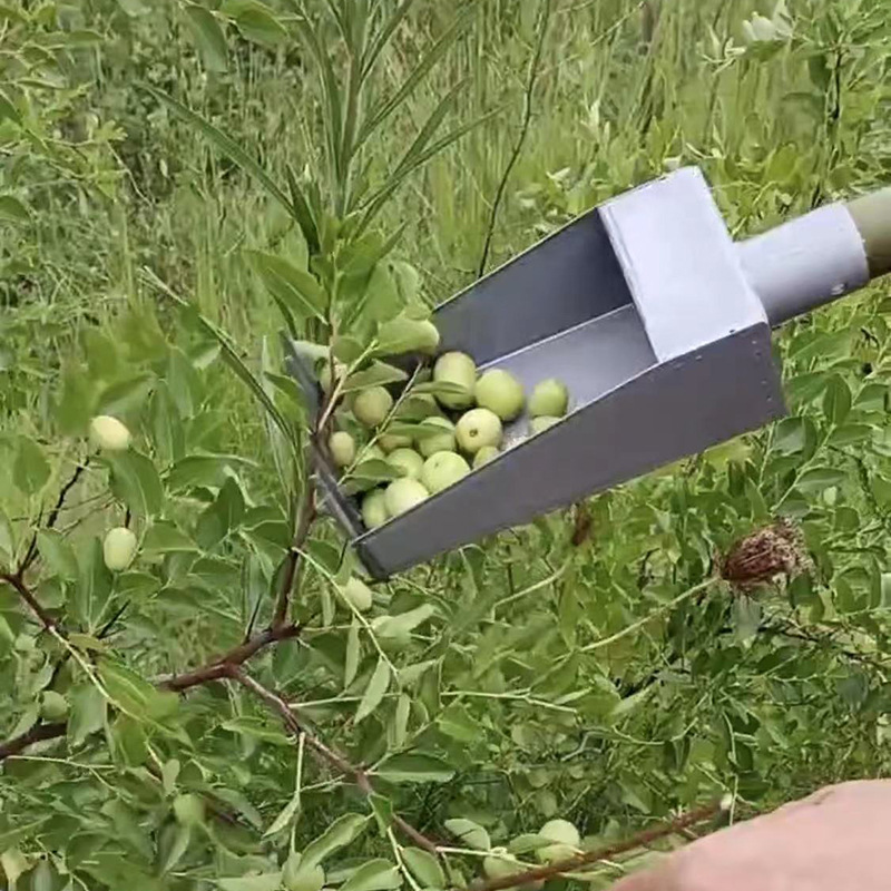 酸枣采摘摘菜辣椒果园新款摘酸枣不扎手采摘器冬枣苹果-阿里巴巴