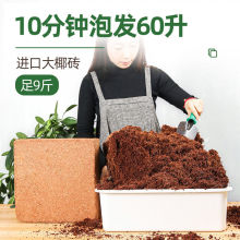 椰砖大批量大块营养土通用型压缩耶砖种植种菜专用椰土椰糠粗椰壳