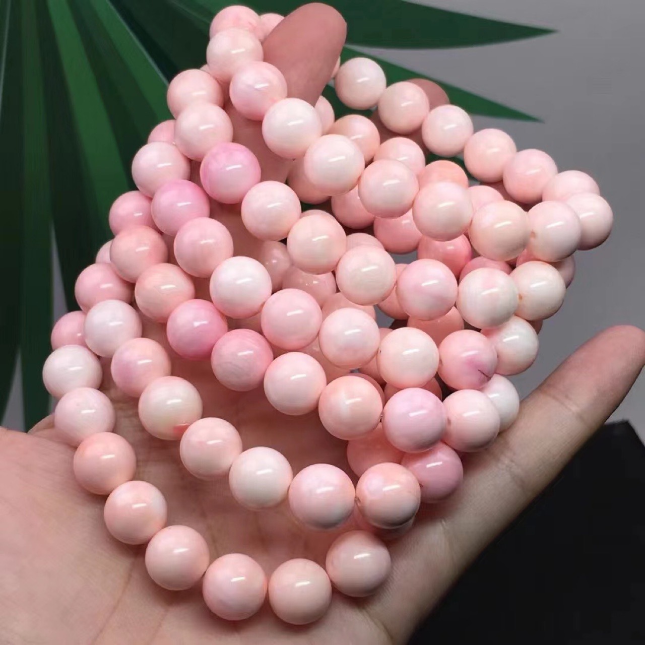 天然女王贝单圈手串 跑江湖新奇特 汕尾市可塘镇珠宝市场批发