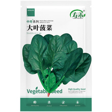 大叶菠菜种子 阳台种菜四季盆栽蔬菜种籽孑秋冬季红根根波菜菜籽