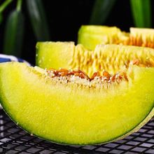 山东海阳网纹瓜冰淇淋蜜瓜甜瓜日本同款新鲜水果玫珑口口蜜哈密瓜