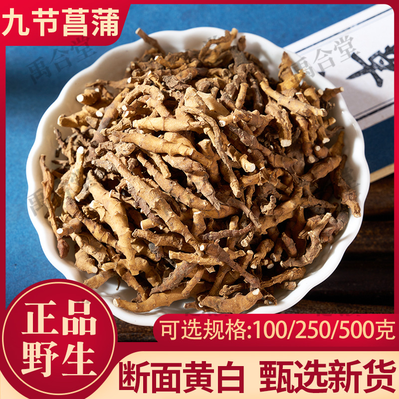 野生九节菖蒲 正品包邮中药材 新货九节仓昌蒲另售石菖蒲一件代发
