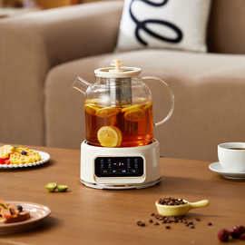 养生壶全玻璃养生壶多功能花茶壶  家用办公室小型花茶器烧水1.2L