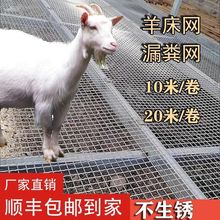 顺丰包邮羊床漏粪网不生锈羊床网热镀锌钢丝围栏网养殖漏粪钢丝网