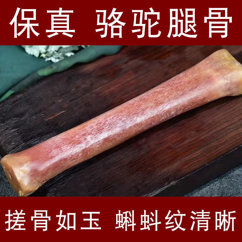 保真驼骨文玩骨头原料手把件扳指牌子文玩雕刻件手工原料diy