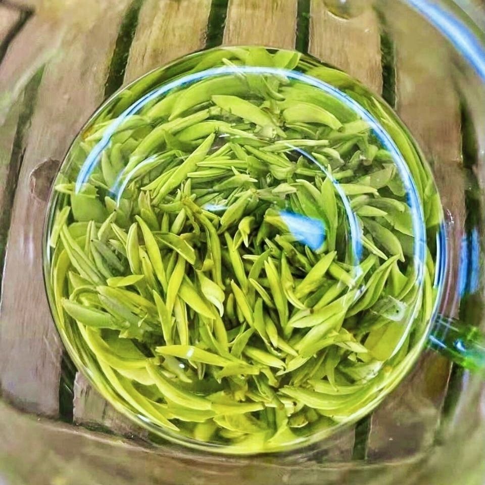 年霍山黄芽新茶明前头采春茶高山嫩芽茶安徽内山茶袋装