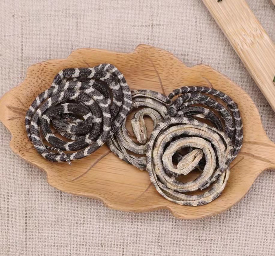 金钱白花蛇 中药材批发金钱白花蛇 批发金钱白花蛇 大货供应