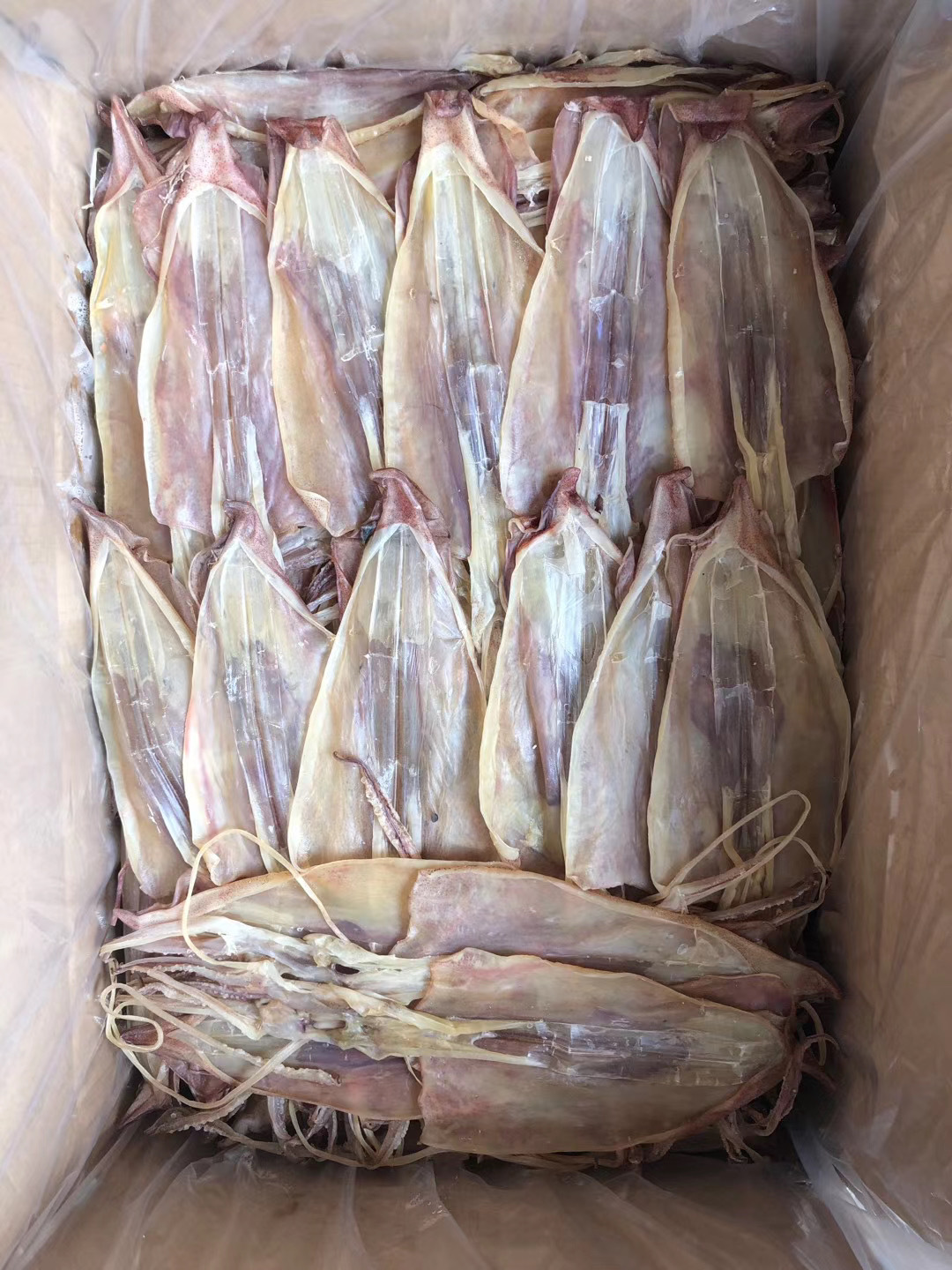 鱿鱼干 北海鱿鱼 本港鱿鱼 吊鱿 鱼 海鲜干货 水产 海产品