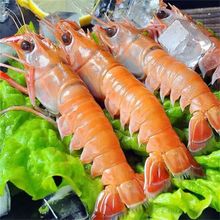 海鳌虾刺身高端自助虾鲜活海鲜船冻超特大螯虾海虾非新西兰鳌虾