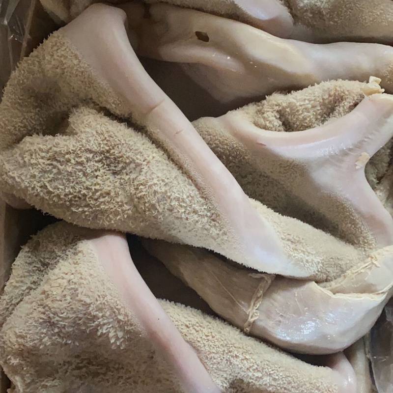 清真新鲜冷冻半成品牛肚牛胃牛杂非全熟火锅串食材整块黄牛肚批发