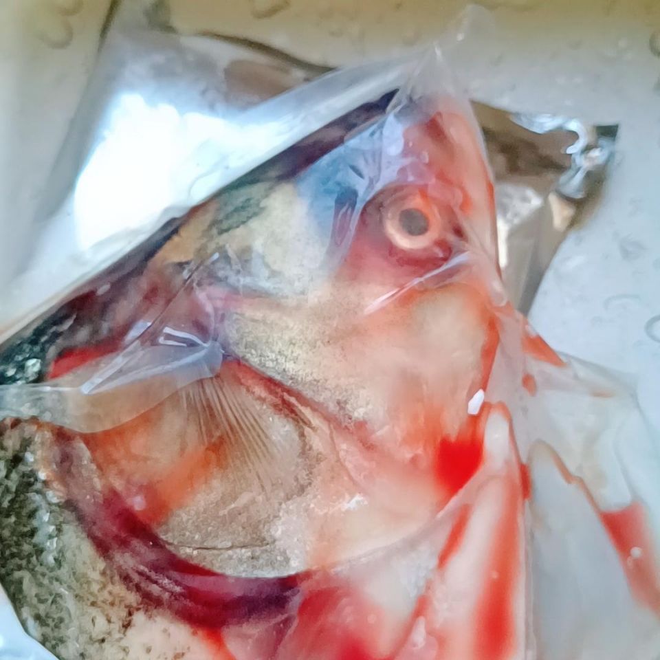 安徽特产沱湖新鲜白鲢鱼头花鲢鲢头鱼剁椒鱼头鲜活现净重发货