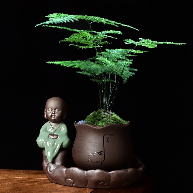 紫砂陶瓷2021新款小和尚禅意花盆文竹绿植苔藓球盆栽客厅桌面摆件