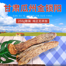 沙塞牧人甘肃瓜州金锁阳整根特级500泡酒料可代切片配肉苁蓉泡水